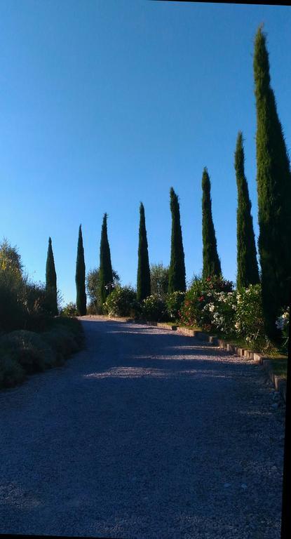 Relax Palazzo Monaci Διαμέρισμα Asciano Εξωτερικό φωτογραφία